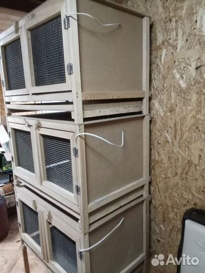 Брудер для цыплят