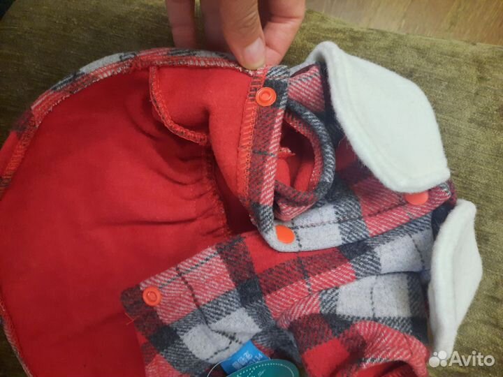 Платье для собаки S, трусы