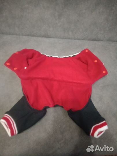 Одежда для маленьких пород собак