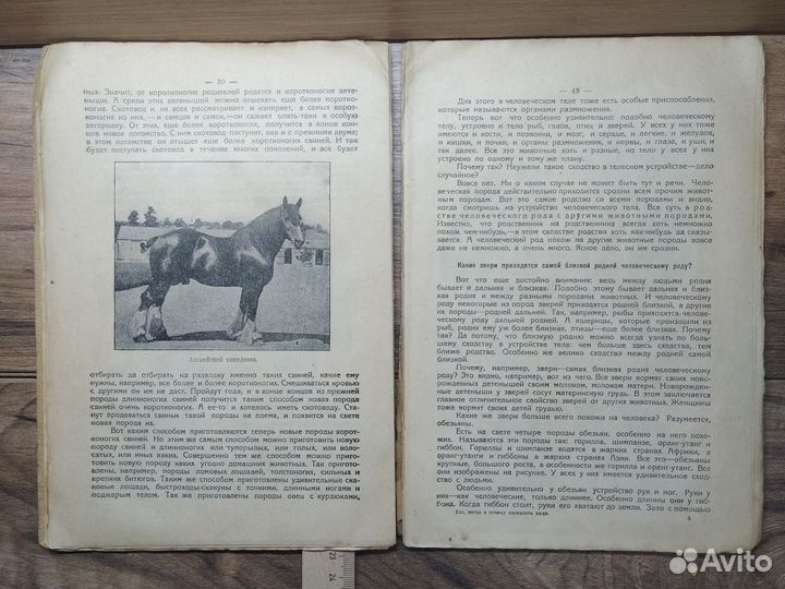 Старинная книга 1918г Н Рубакин Как появились люди