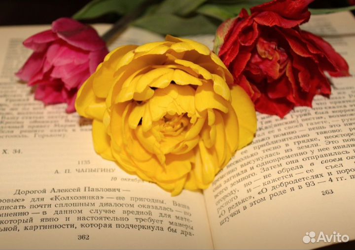 Луковицы тюльпанов (ассорти)