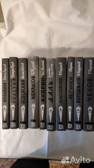 Горьковская книжная серия «Жизнь замечательных люд