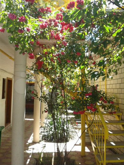 Комната 18 м² в 1-к., 1/1 эт.