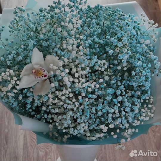 Цветы Кстово
