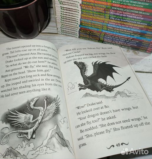 Детские английские книги Dragon Masters