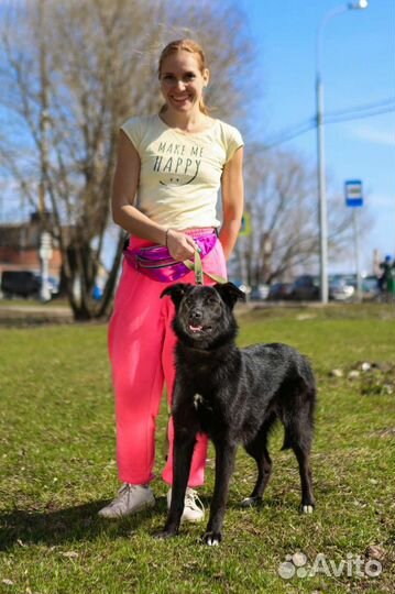 Собака Берта из приюта мечтает обрести семью