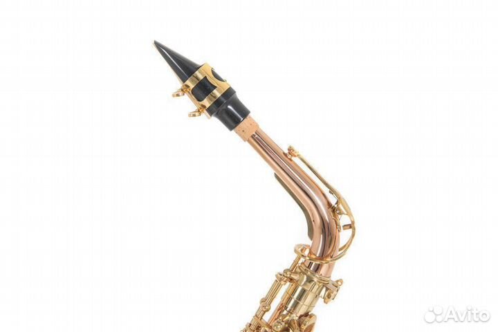 Саксофон альт Roy Benson AS-202G