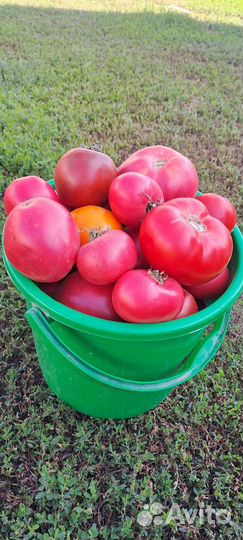 Помидоры из деревни