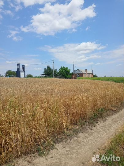 Ферма в аренду