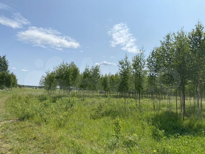 Участок 12 сот. (СНТ, ДНП)