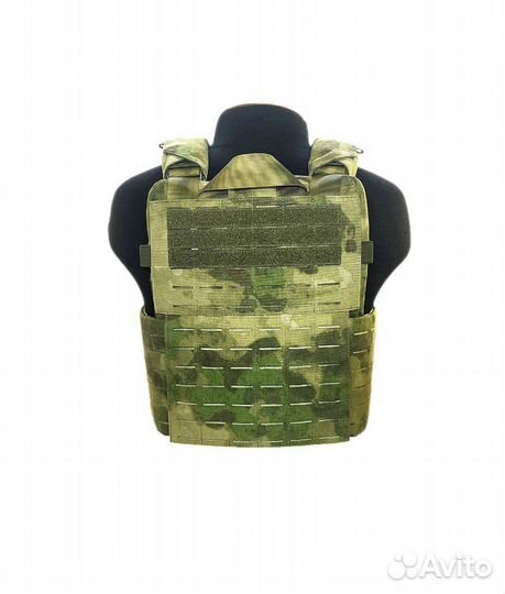 Плитоносец Щит-1 мох