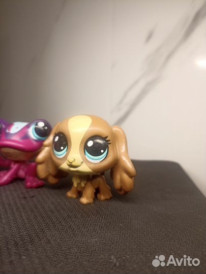 Лпс набор Игрушки littlest pet shop