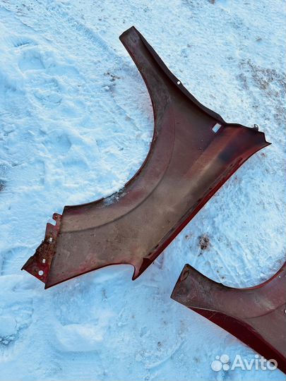 Крылья передние