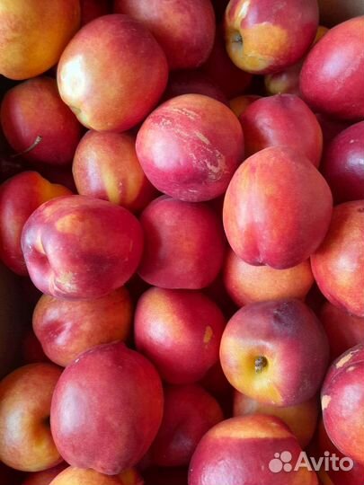 Фрукты и овощи