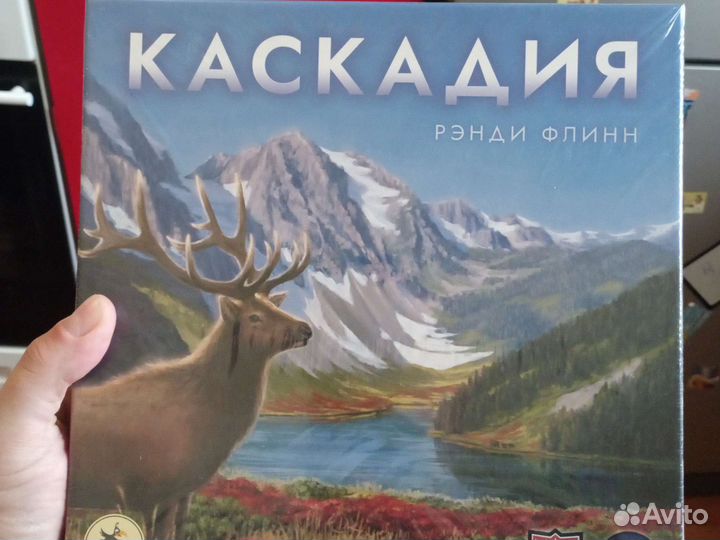 Настольные игры