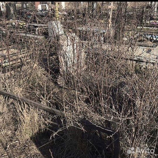 Уборки, покраски, оградки, цинки