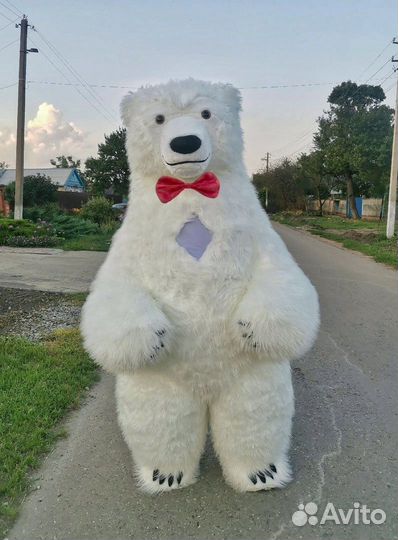 Умка/Белый мишка/Аниматор/Поздравление