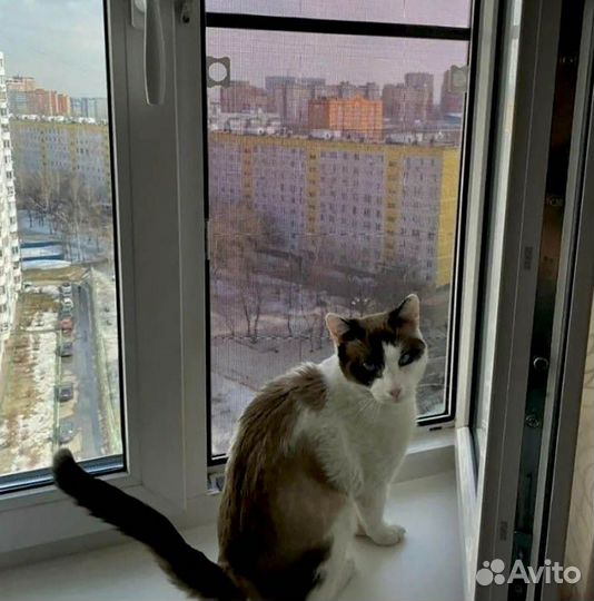 Сетка москитная