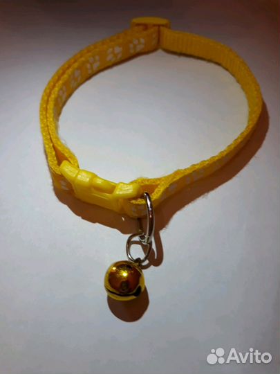 Ошейник для вашей кошечки