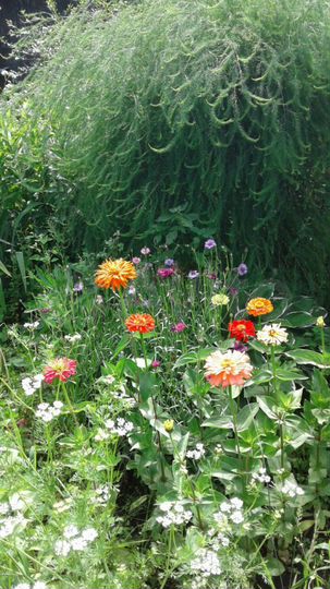 Дача 20 м² на участке 4 сот.