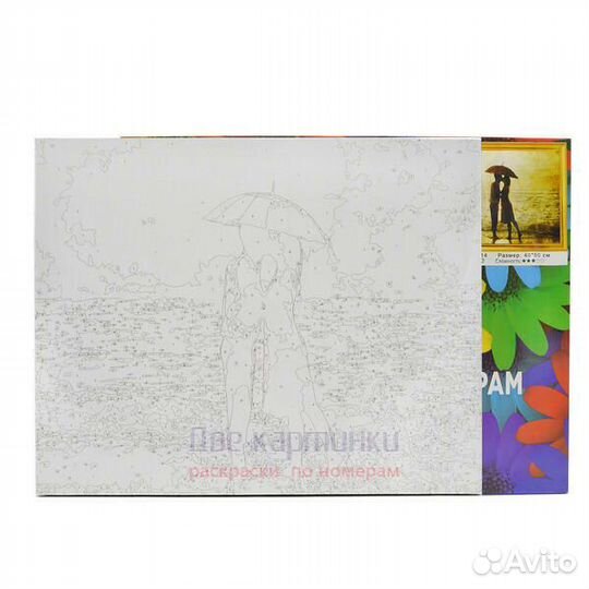 Картина по номерам 30x40 Разноцветные астры на клу