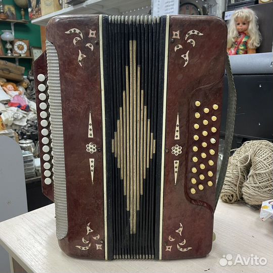 Гармонь Беларусь СССР (Сзр)