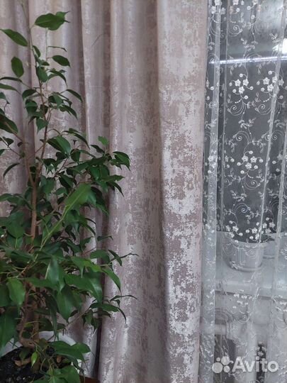 Комплект штор для спальни 300 270 новый