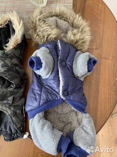 Одежда для маленьких собак