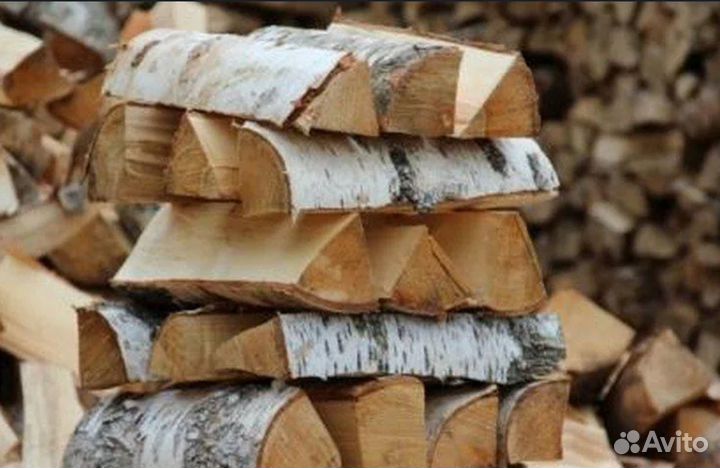 Дрова береза