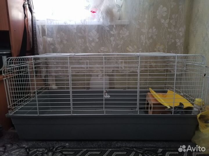 Клетка для грызунов бу