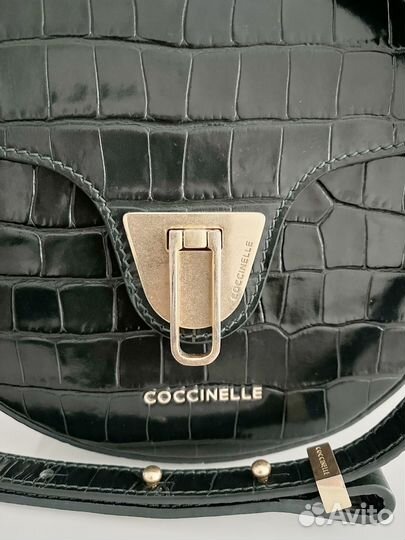 Coccinelle Beat Croco