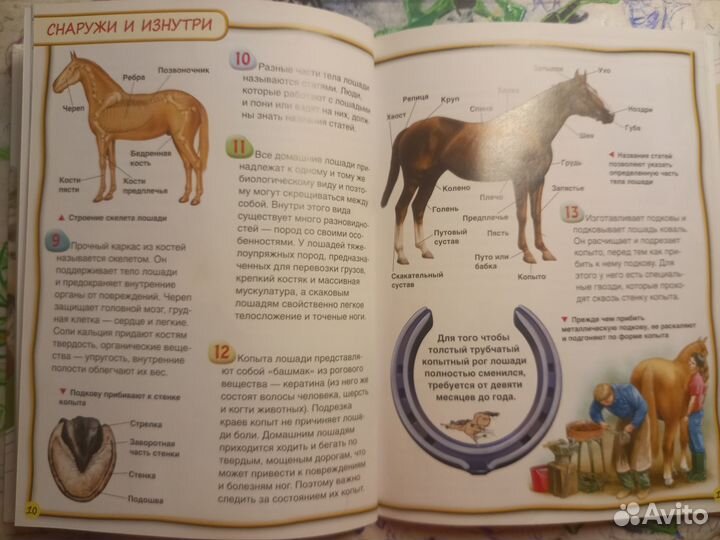 Энциклопедия для детей. 