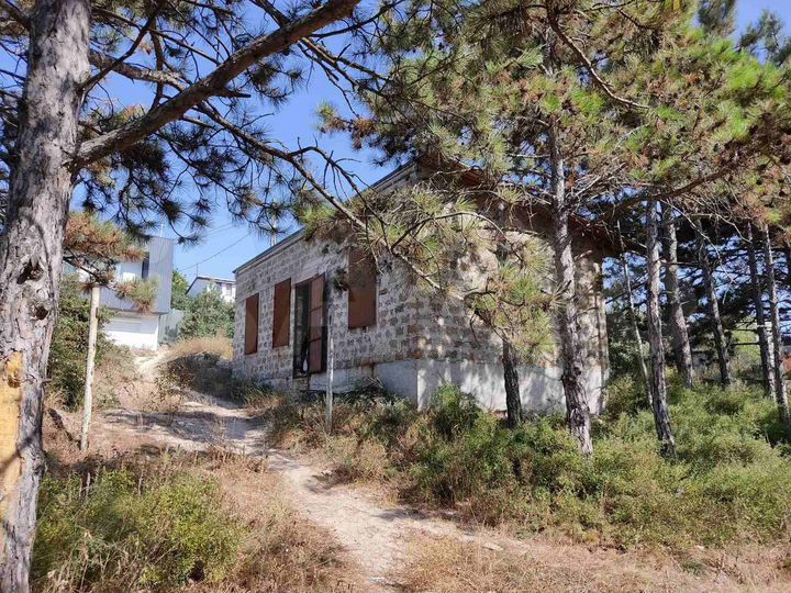 Участок 6,8 сот. (СНТ, ДНП)