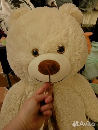 Плюшевый медведь