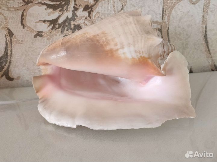 Светильник ночник, раковина