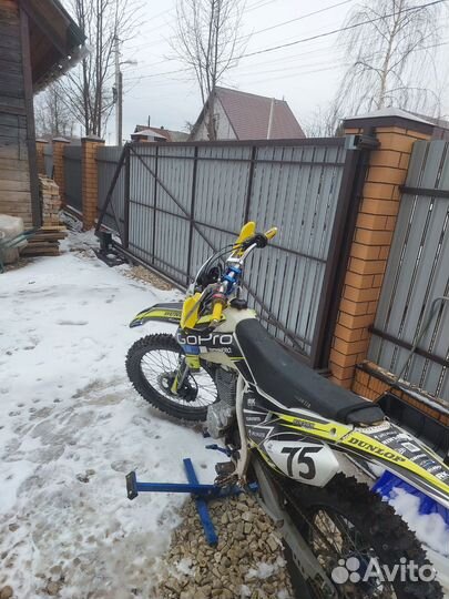 Avantis fx lux 250