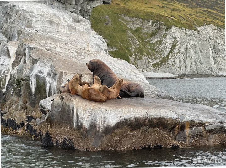 Летом на Камчатку тур экспедиция до 9 дн