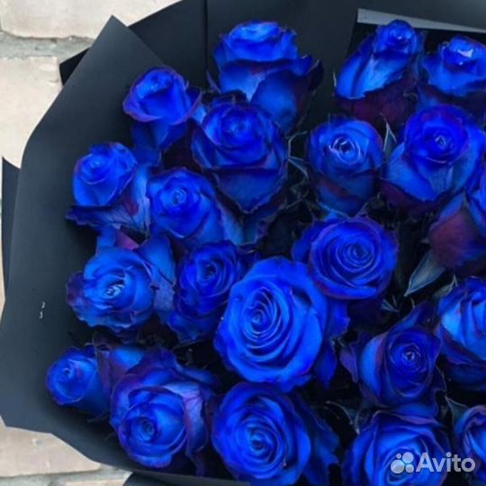 Синие Радужные Розы 51 101 Доставка Цветы