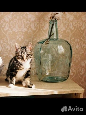 Ваза бутыль для декора