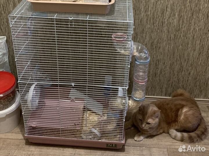 Клетка для грызунов