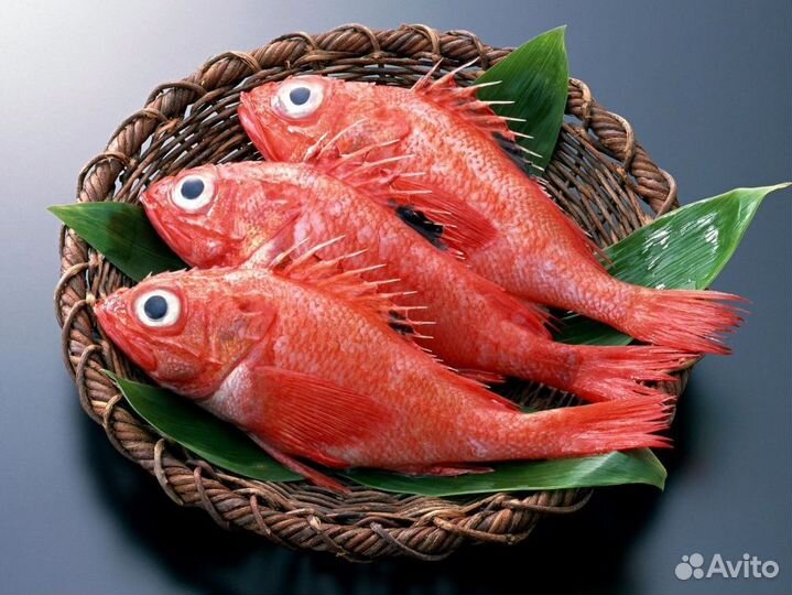 Готовый бизнес – рыбный магазин с прибылью