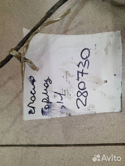 Трубка тормозная магистральная Toyota Corolla Spa