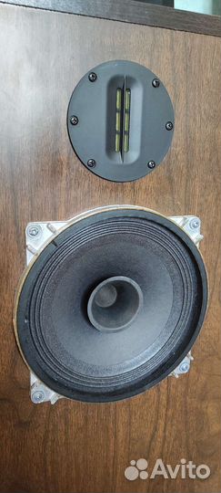 Акустика на 10гд36к + AL100