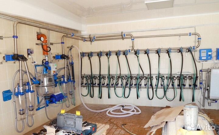 Молокопровод для крс на 200 голов