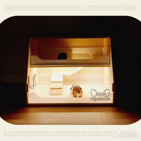 Клетка для морских свинок 80х50х60, белдуб, скос1