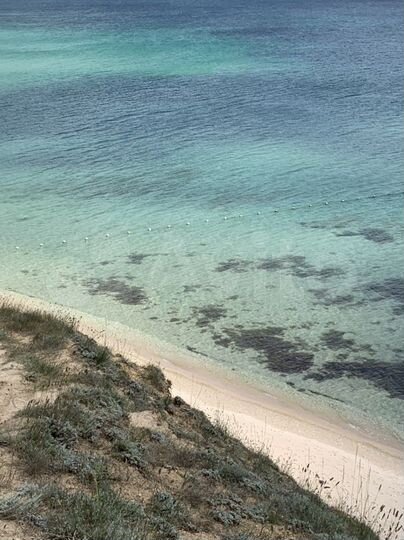 Участок 100 сот. (СНТ, ДНП)