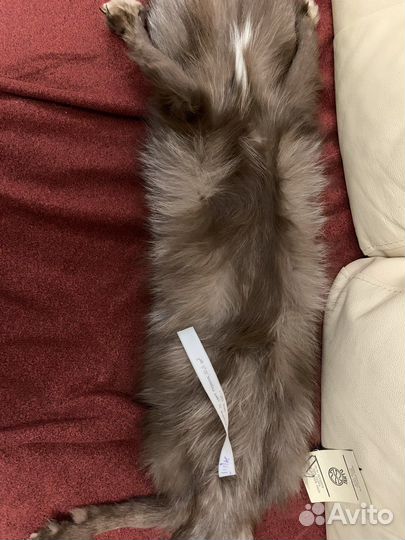 Шкурка песца