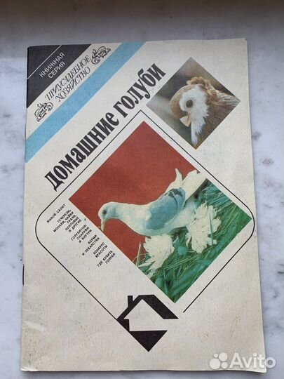 Редкая брошюра Домашние голуби 1992 г