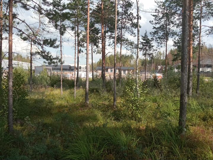 Участок 12 сот. (СНТ, ДНП)