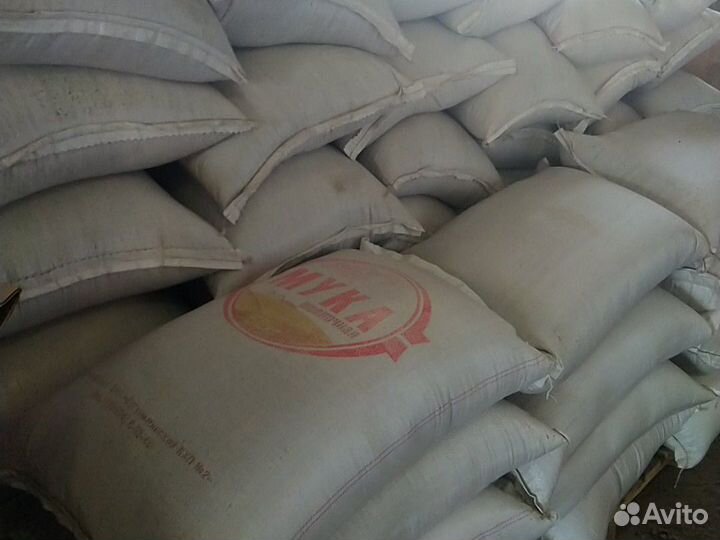 Пшеничные отруби